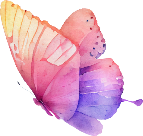 Butterfly Watercolor Illustration